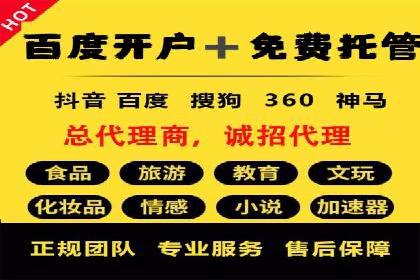 成功案例解析：SEM竞价托管运营策略